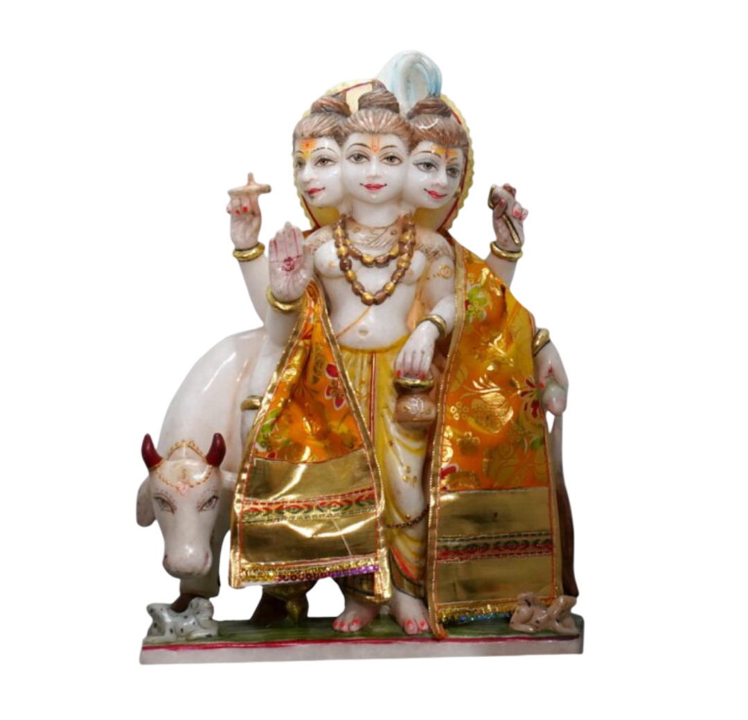 Idol 5